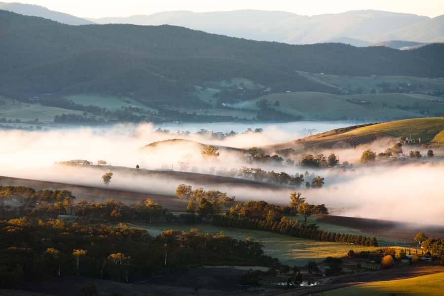 Experience Yarra Valley: A Tailored private Wine Journey - Authentic Insights from Past Guests