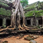Explore Angkor Wat Sunrise Small Tour Private VIP Car - Who Will Love This Tour?