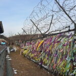 Explore DMZ from Seoul +(optional) Gondola/Red Suspension Bridge - Introduction: Why the DMZ Tour is Worth Considering