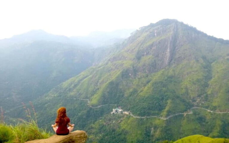 Explore Ella: Rock Hike, Loop, Falls, Nine arch & Train View - Authentic Insights from Reviewers