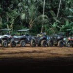 Explore Gorilla Cave by ATV in Ubud - Monkey Forest and Waterfall - The Sum Up