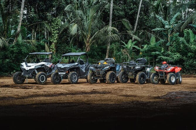 Explore Gorilla Cave by ATV in Ubud - Monkey Forest and Waterfall - The Sum Up