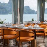 Explore Ha Long Bay on Leona 5-Star Luxury Day Cruise from Harbor - The Experience from the Reviews