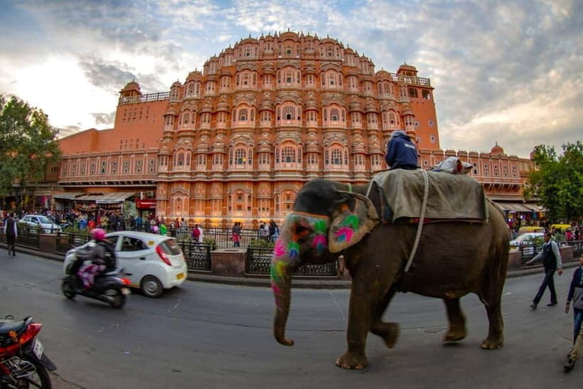 Explore Jaipur & Amber Fort Guided Half or Full Day Tour - The Sum Up