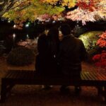 Explore Kyoto in Comfort  Private Car Tour with English Driver - Final Thoughts