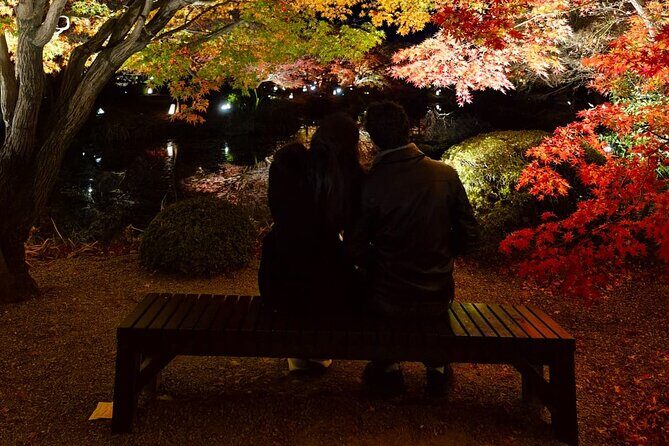 Explore Kyoto in Comfort Private Car Tour with English Driver - Final Thoughts