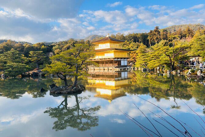 Explore Kyoto in Style: Temples, Shrines & Cultural Highlights - Who Will Love This Tour?