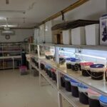 Explore Lomboks Pearl Farm & Pearl-Making Secrets - Why It’s a Good Choice for Your Lombok Trip