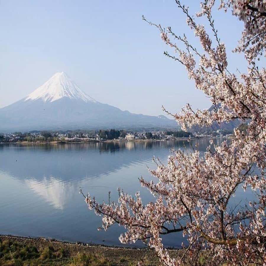 Explore Mount Fuji: Private Tour with English Guide - Final Thoughts