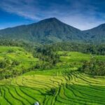 Explore Munduk Customized 8 Hour Day Tour in North Bali - Discovering Munduk’s Waterfalls and Lakes