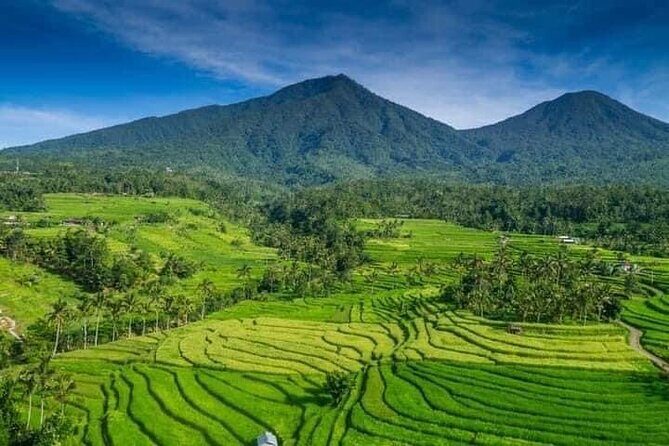 Explore Munduk Customized 8 Hour Day Tour in North Bali - Discovering Munduk’s Waterfalls and Lakes
