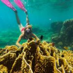 Explore Southwest Gili : Gili Asahan, Goleng, Layar & Gede - What to Expect from Your Southwest Gili Island-Hopping Experience