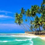 Explore Sri Lankas South Coast - Galle One Day City Tour - Transportation and Comfort