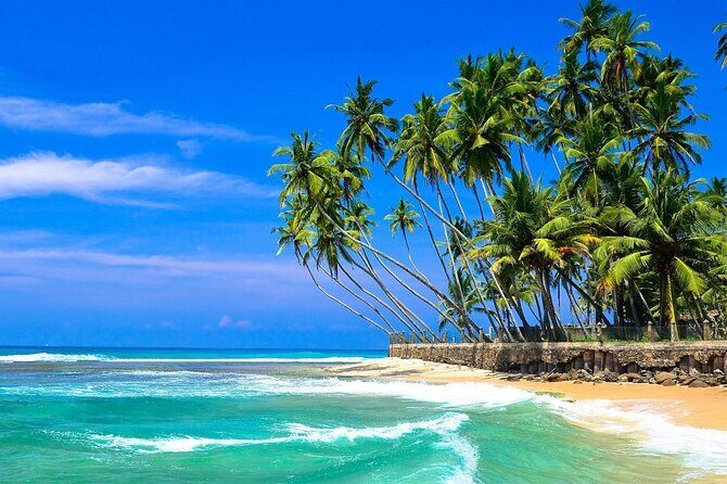 Explore Sri Lankas South Coast - Galle One Day City Tour - Transportation and Comfort