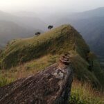 Explore the best of Ella. Hiking, waterfalls and cultural tour - Who Would Love This Tour?