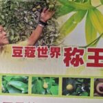 Explore The Hidden Gem of Penang at Balik Pulau - A Detailed Look at the Tour Experience