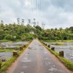 Explore The Rustic Life Of Thekkady - Practical Details & What to Expect