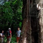 Explore Toraja Culture Heritage in 3 Days from Makassar - Practical Considerations