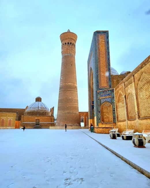 Explore Uzbekistan: 14 Days Private Guided Tour - The Experience and Logistics