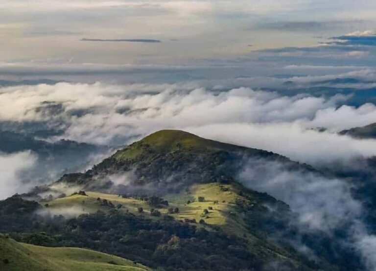 Exploring Coorg: Guided Full Day Tour in Car from Mysore - Practical Details and Value