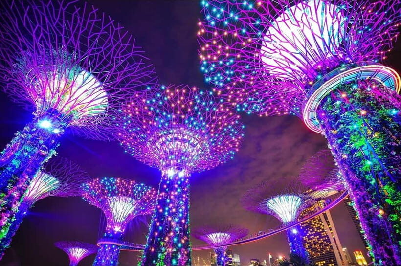 Fabulous Night-out Private Tour in Singapore - An In-Depth Look at the Singapore Night Tour