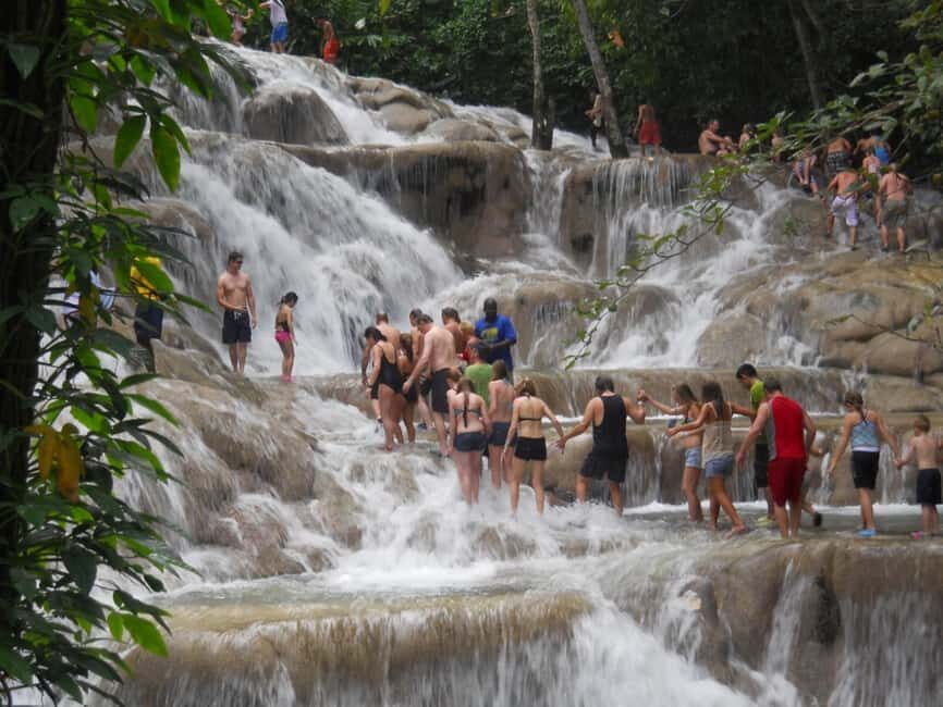 Falmouth: Dunns River Falls & Bamboo Beach Club VIP Access - What the Tour Entails: An In-Depth Look