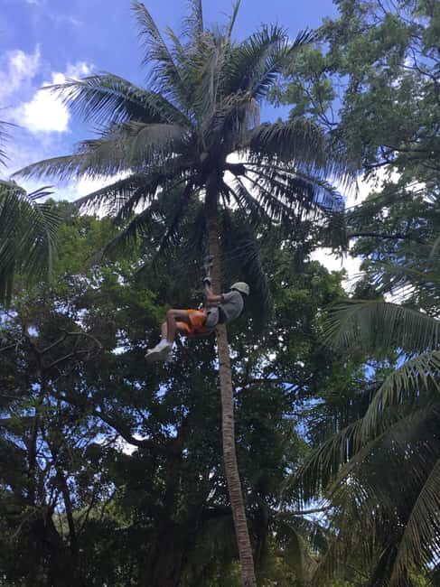 Falmouth: Dunn's River Falls, Blue Hole, and Zipline Tour - Practical Travel Details