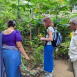 Farm to Table Cooking Class & Authentic Village Experience - The Gem Mine Experience