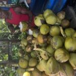 Farm To Table Dining Experience - Why the Price is Justified