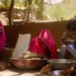 Farm to Table: With a local farmer family - Why This Tour Offers Real Value