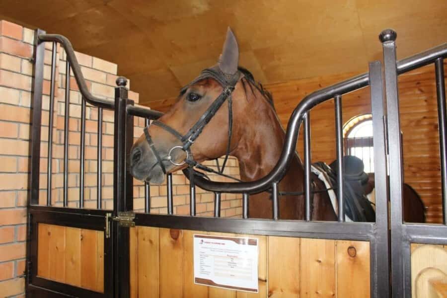 Fergana: Valley Horses Complex Tour with Horse Riding - The Significance of the Karabair Breed
