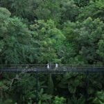 FH3 - Zipline Adventure at Hanuman World - The Sum Up