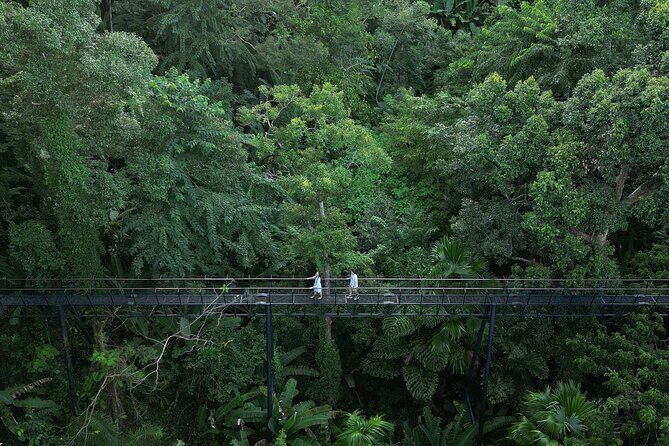 FH3 - Zipline Adventure at Hanuman World - The Sum Up