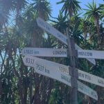 Fierce Nights & Neon Lights - Kings Cross Sydney Scavenger Hunt - Detailed Breakdown of the Itinerary