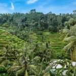 Fiery Bali Tour - Practical Considerations and Value