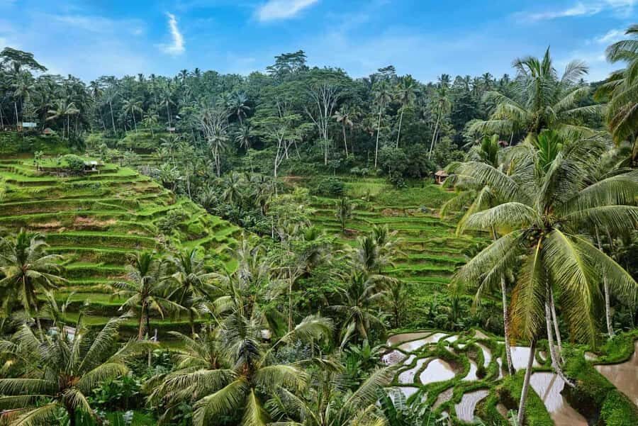 Fiery Bali Tour - Practical Considerations and Value