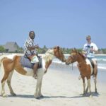Fiji: Beach Horseback Riding Tour with Lunch and Transfer - The Practicalities and Logistics