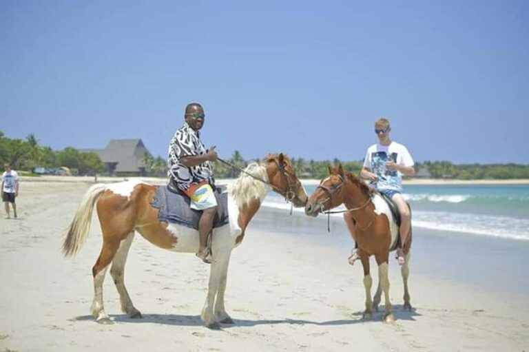 Fiji: Beach Horseback Riding Tour with Lunch and Transfer - The Practicalities and Logistics