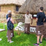 Fiji's Full-Day Sabeto Safari 4WD Adventure - Why This Tour Works