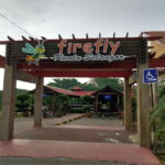 Firefly, Eagle Feeding, and Blue Tears Kuala Selangor Tour - The Value and Who It’s For