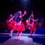 Fish Eye Island Cultural Dinner Show Buffet Course - The Sum Up