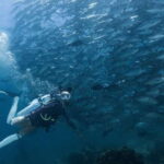 Fisheye Divers: Advanced Open Water Course - Why This Tour Is Worth Considering