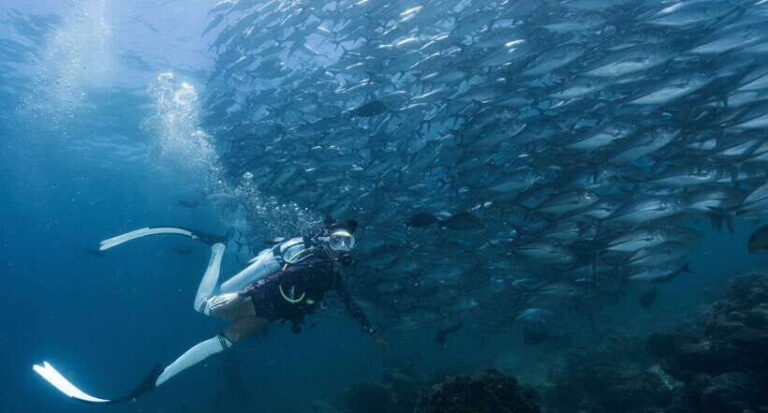 Fisheye Divers: Advanced Open Water Course - Why This Tour Is Worth Considering