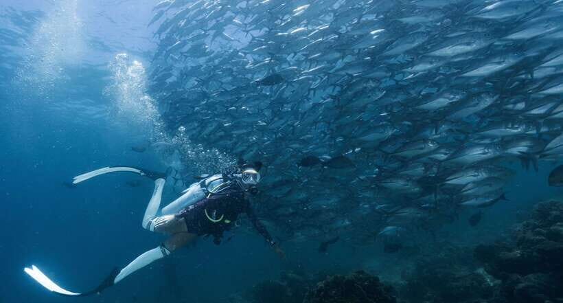 Fisheye Divers: Advanced Open Water Course - Why This Tour Is Worth Considering