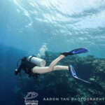 Fisheye Divers: PADI Open Water Course - The Experience at a Glance