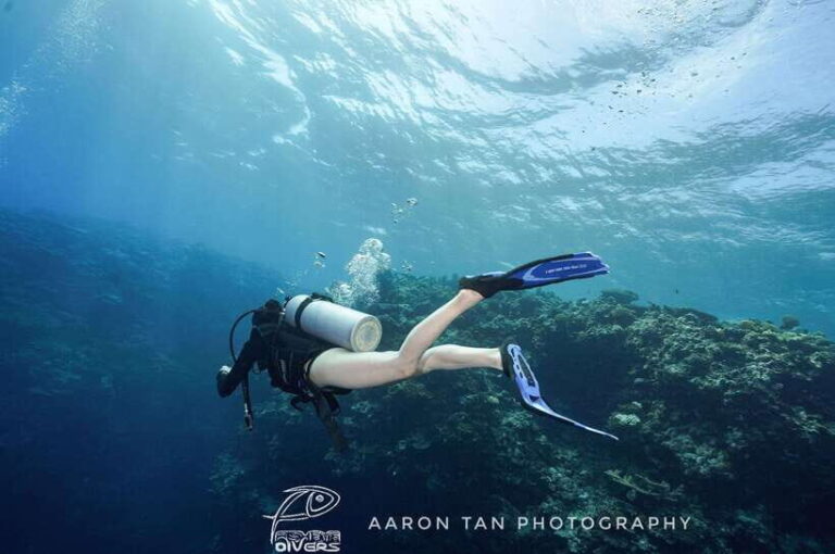 Fisheye Divers: PADI Open Water Course - The Experience at a Glance