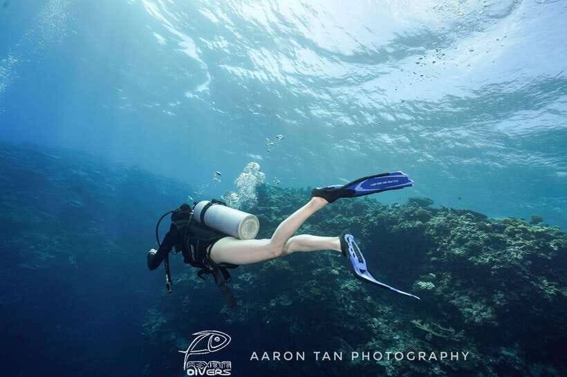 Fisheye Divers: PADI Open Water Course - The Experience at a Glance