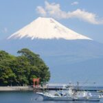 Fishing Tour Experience in Heda Numazu Shizuoka - An In-Depth Look at the Heda Numazu Fishing Tour