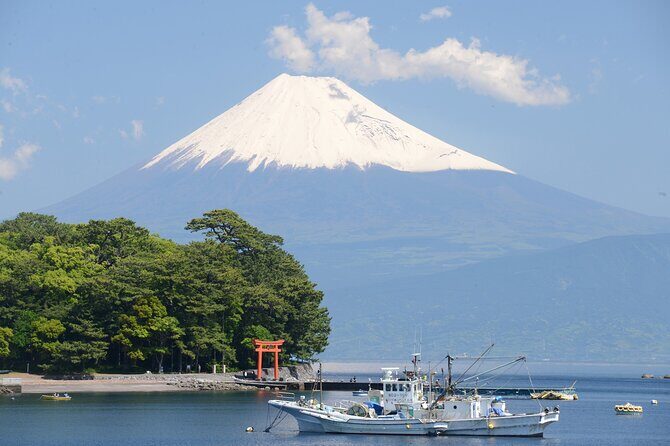 Fishing Tour Experience in Heda Numazu Shizuoka - An In-Depth Look at the Heda Numazu Fishing Tour