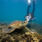 Fitzroy Island Day Trip 11am to 5pm Ferry INC Snorkel Equipment - Exploring Fitzroy Island: More Than Just a Pretty View